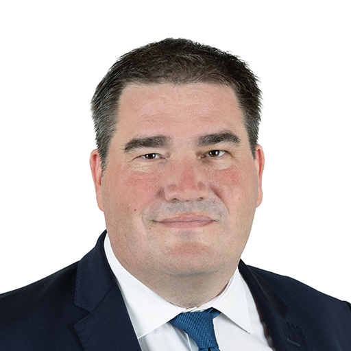 Olivier Bitz (Rapporteur)