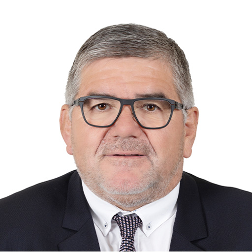 Christian Redon-Sarrazy (Rapporteur)